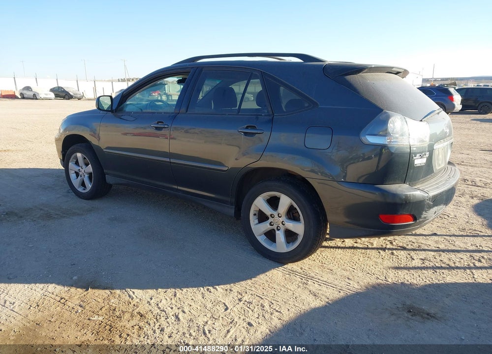2004 LEXUS RX 330 VIN: JTJGA31U640020092