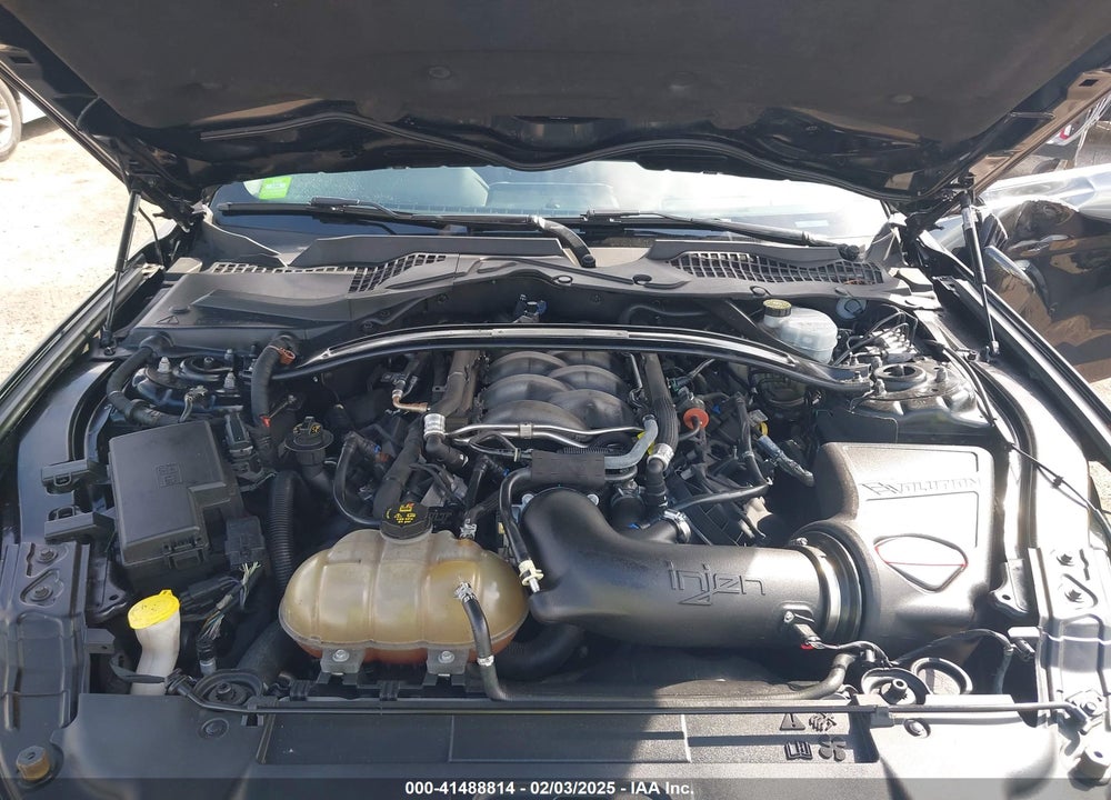 2020 FORD MUSTANG VIN: 1FA6P8CF0L5105719