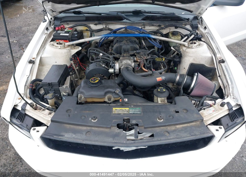 2005 FORD MUSTANG V6 DELUXE/V6 PREMIUM VIN: 1ZVFT80N955206517