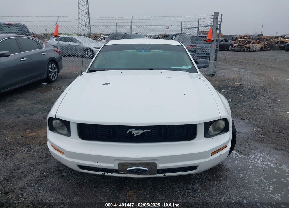 2005 FORD MUSTANG V6 DELUXE/V6 PREMIUM VIN: 1ZVFT80N955206517