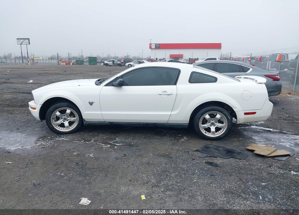 2005 FORD MUSTANG V6 DELUXE/V6 PREMIUM VIN: 1ZVFT80N955206517