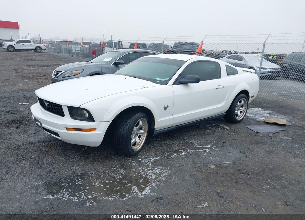 2005 FORD MUSTANG V6 DELUXE/V6 PREMIUM VIN: 1ZVFT80N955206517