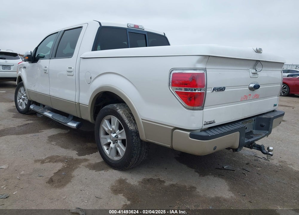 2010 FORD F-150 VIN: 1FTFW1CV0AFA67704