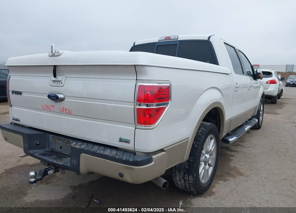 2010 FORD F-150 VIN: 1FTFW1CV0AFA67704