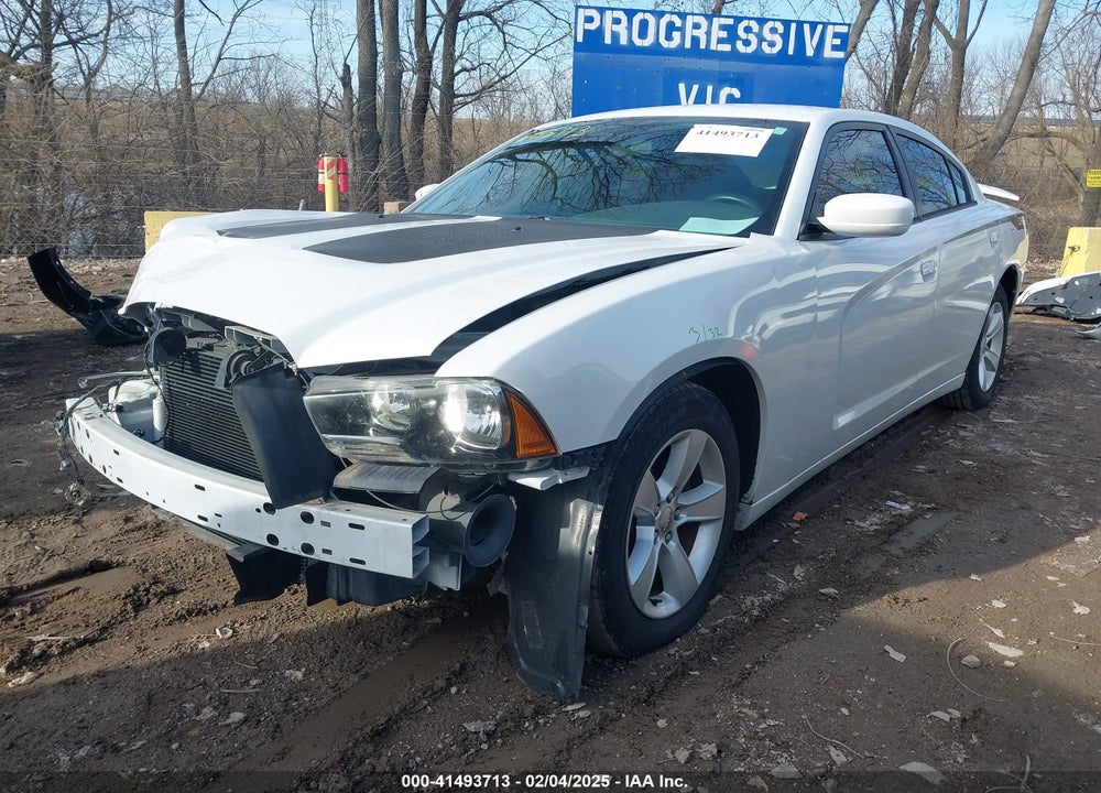 2014 DODGE CHARGER VIN: 2C3CDXBG0EH192032