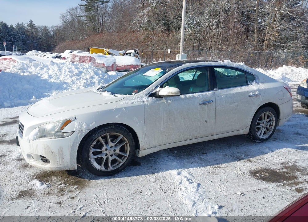 2009 NISSAN MAXIMA 3.5 SV VIN: 1N4AA51E09C847983