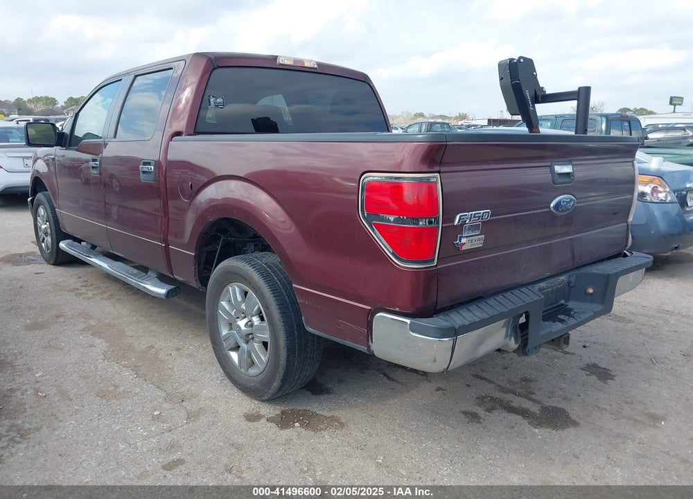 2010 FORD F-150 VIN: 1FTEW1C82AKE48497