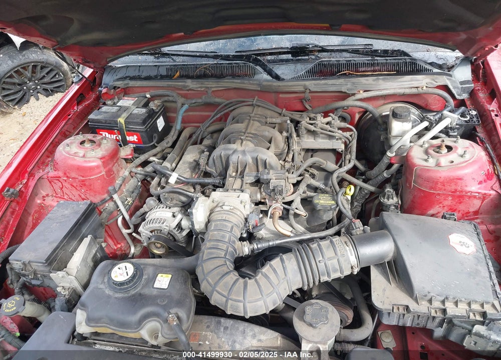 2009 FORD MUSTANG V6/V6 PREMIUM VIN: 1ZVHT80N195124313