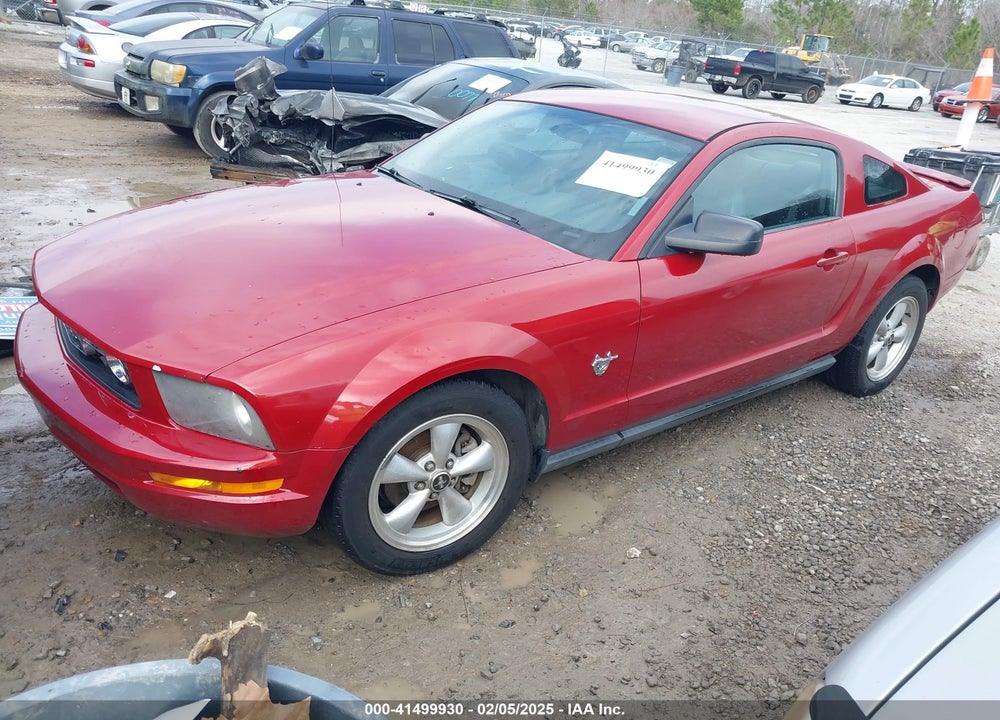 2009 FORD MUSTANG V6/V6 PREMIUM VIN: 1ZVHT80N195124313