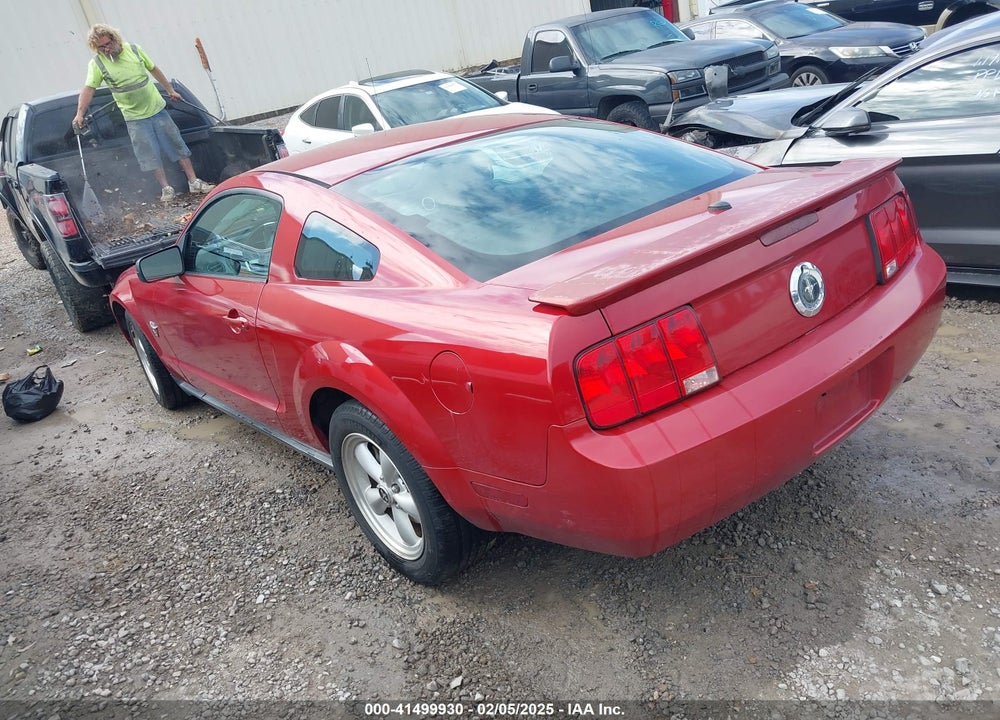 2009 FORD MUSTANG V6/V6 PREMIUM VIN: 1ZVHT80N195124313