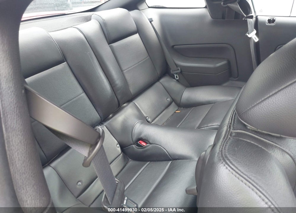 2009 FORD MUSTANG V6/V6 PREMIUM VIN: 1ZVHT80N195124313