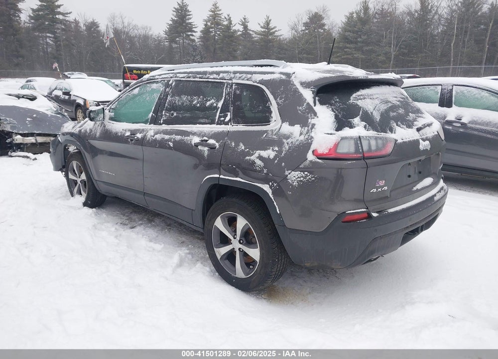 2019 JEEP CHEROKEE VIN: 1C4PJMDN8KD399423