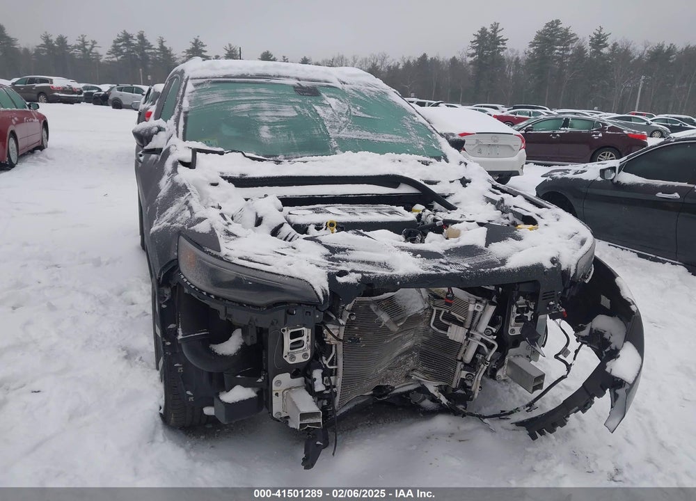 2019 JEEP CHEROKEE VIN: 1C4PJMDN8KD399423