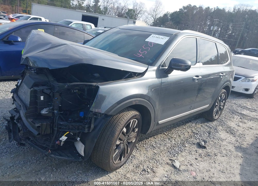 2024 KIA TELLURIDE VIN: 5XYP5DGC8RG455001