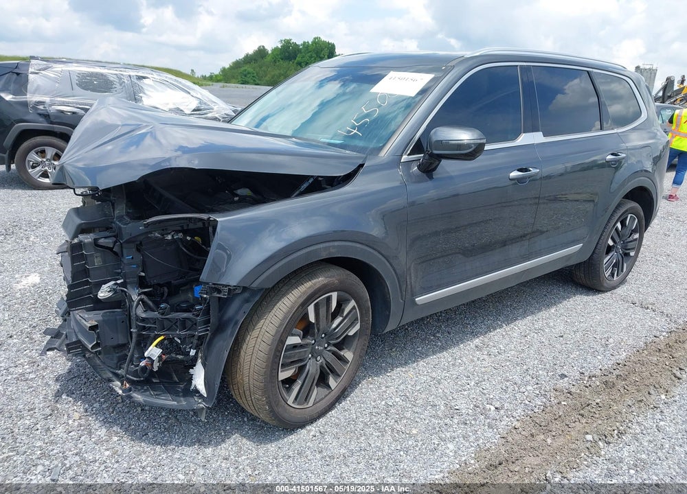 2024 KIA TELLURIDE VIN: 5XYP5DGC8RG455001
