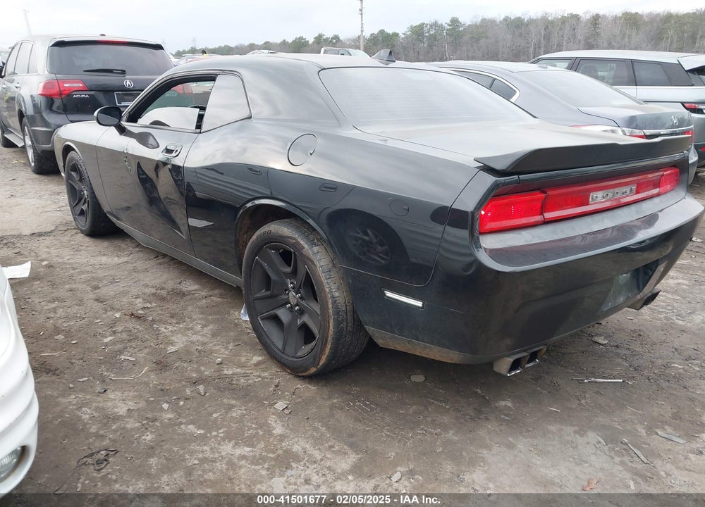 2010 DODGE CHALLENGER VIN: 2B3CJ4DV5AH275370