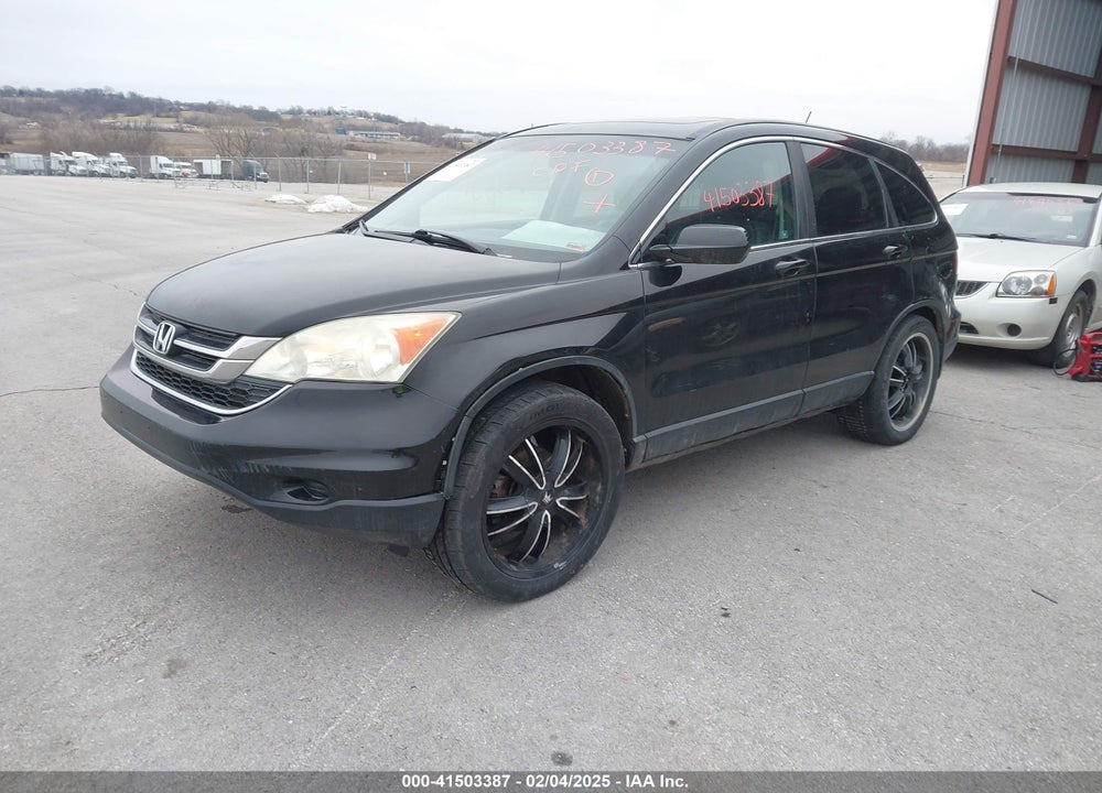 2010 HONDA CR-V VIN: 5J6RE4H77AL054116