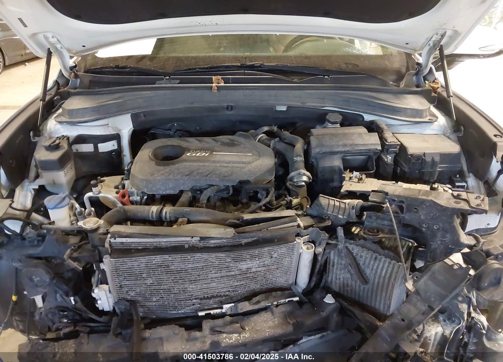 2019 HYUNDAI SANTA FE LIMITED 2.0T VIN: 5NMS5CAA6KH018766
