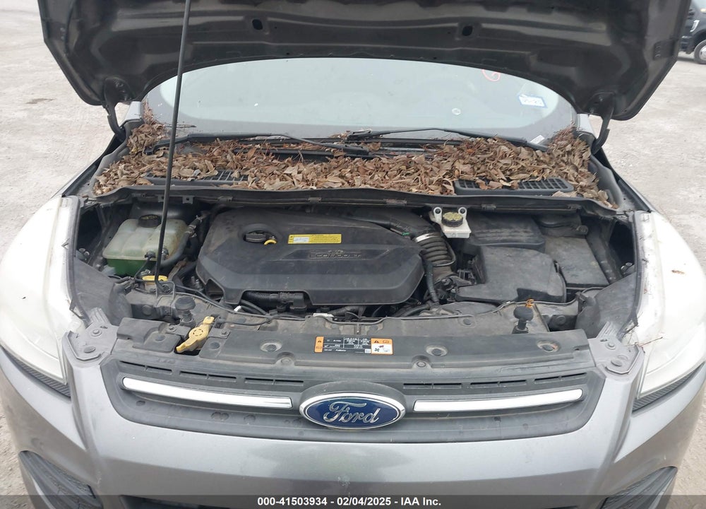 2014 FORD ESCAPE VIN: 1FMCU0GX4EUB15071