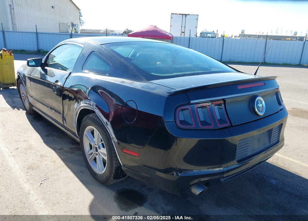 2013 FORD MUSTANG VIN: 1ZVBP8AM4D5241599