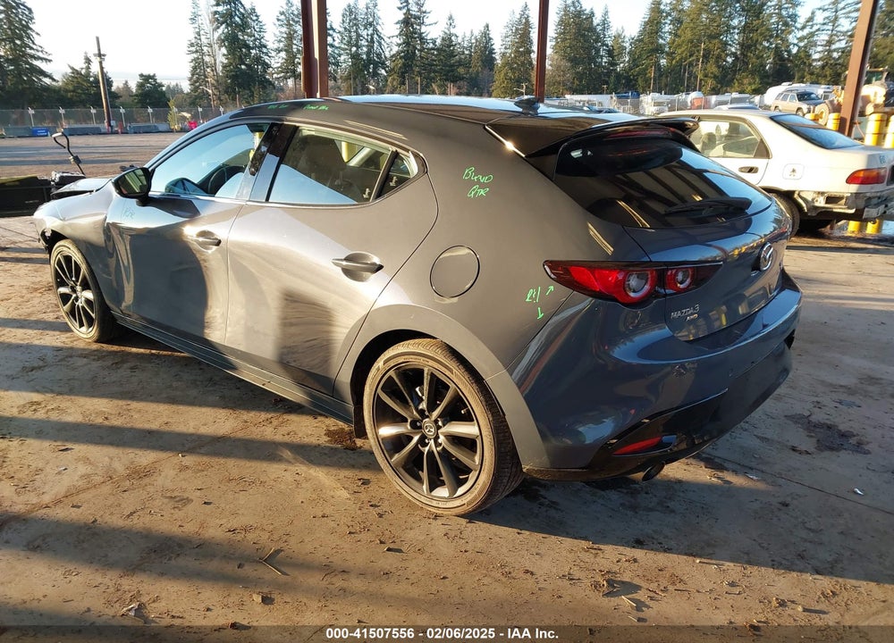 2024 MAZDA MAZDA3 HATCHBACK VIN: JM1BPBNY6R1710199