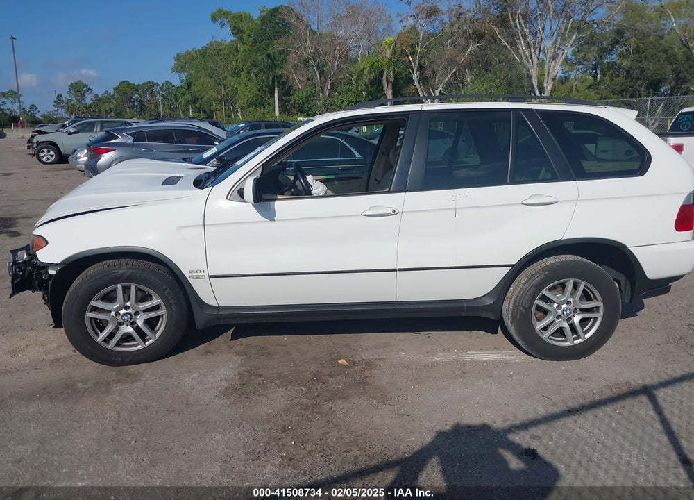 2006 BMW X5 3.0I VIN: 5UXFA13516LY34207