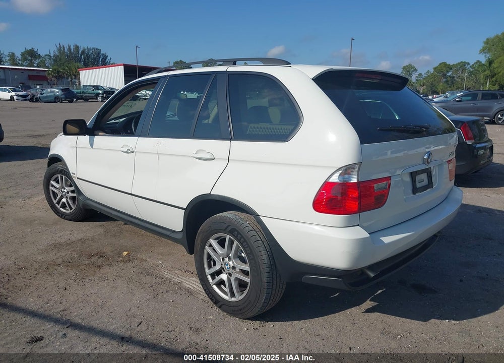 2006 BMW X5 3.0I VIN: 5UXFA13516LY34207