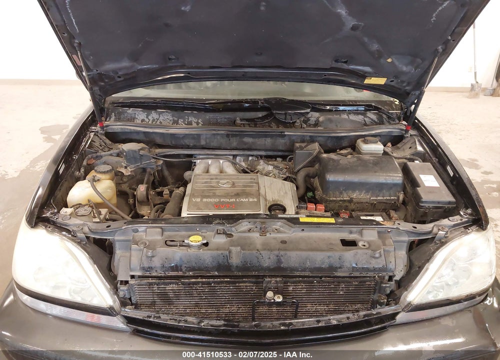 2002 LEXUS RX 300 VIN: JTJHF10U320289871