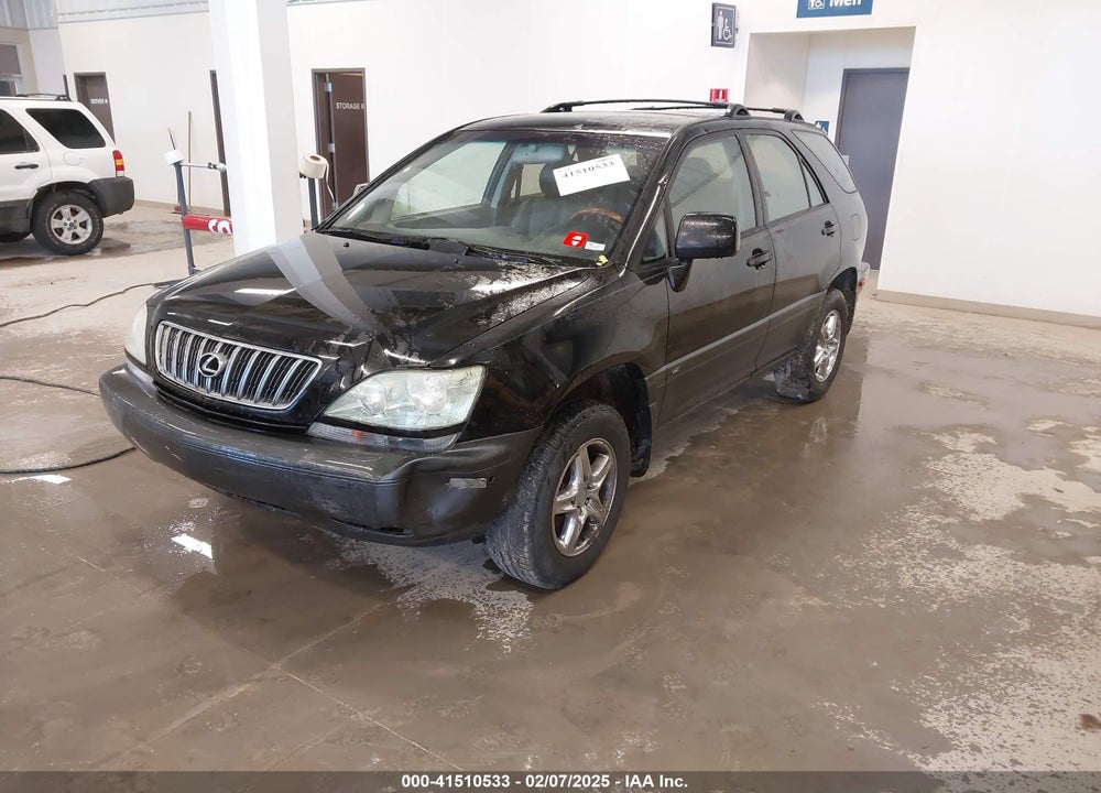 2002 LEXUS RX 300 VIN: JTJHF10U320289871