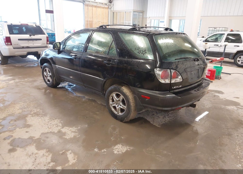 2002 LEXUS RX 300 VIN: JTJHF10U320289871