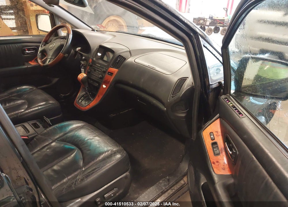 2002 LEXUS RX 300 VIN: JTJHF10U320289871