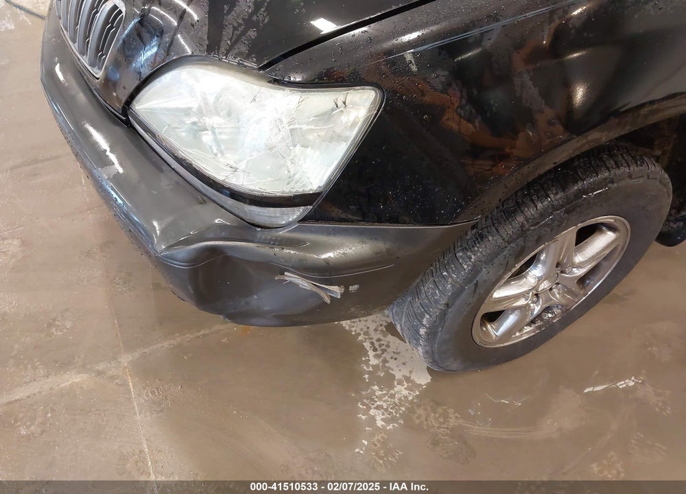 2002 LEXUS RX 300 VIN: JTJHF10U320289871