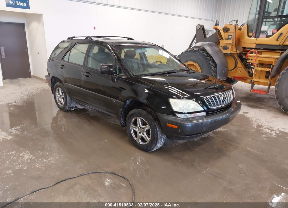 2002 LEXUS RX 300 VIN: JTJHF10U320289871