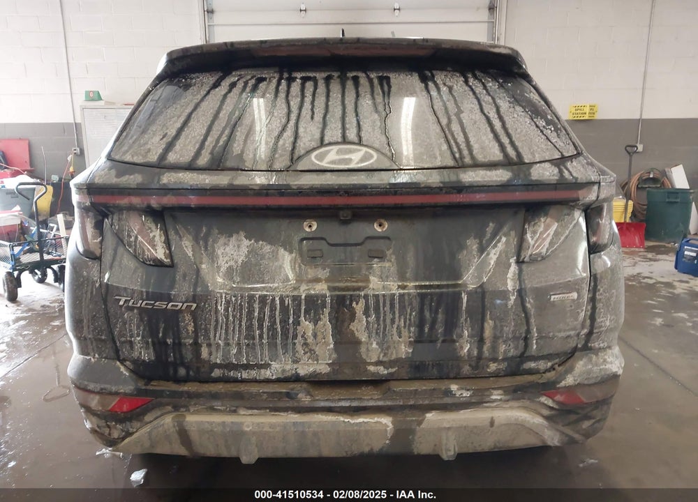 2024 HYUNDAI TUCSON LIMITED VIN: 5NMJECDEXRH363142