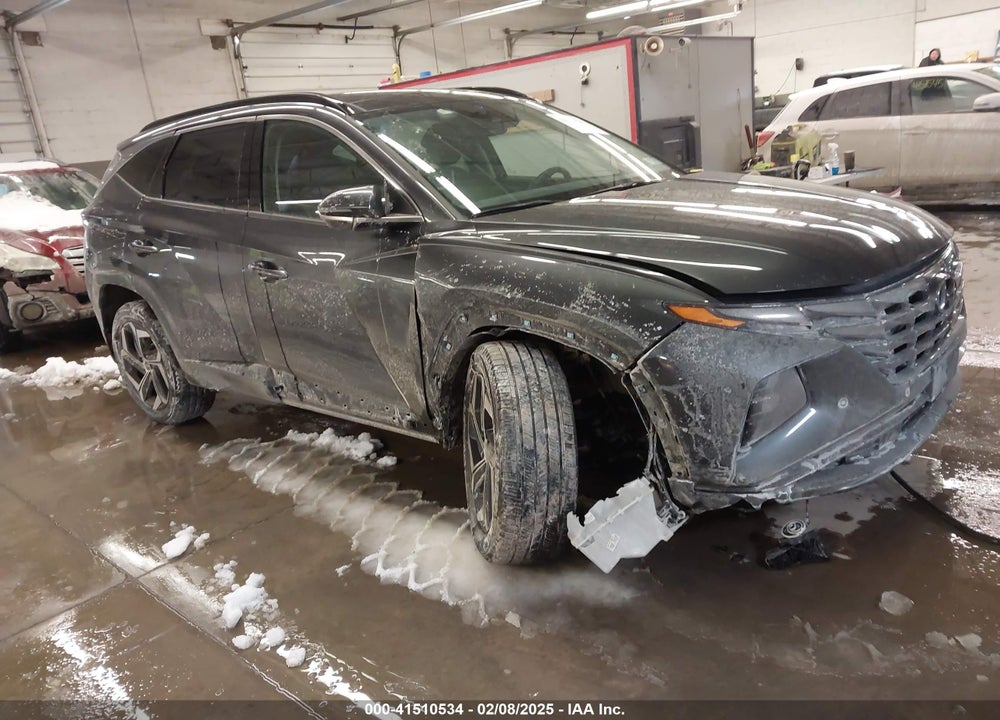 2024 HYUNDAI TUCSON LIMITED VIN: 5NMJECDEXRH363142