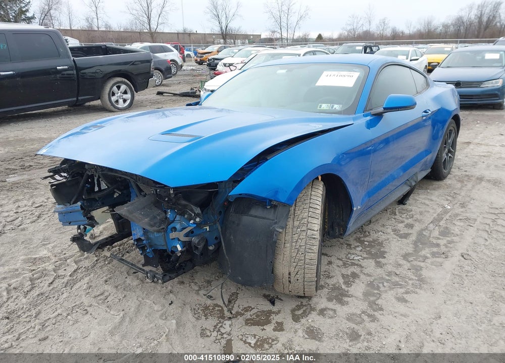 2019 FORD MUSTANG VIN: 1FA6P8TH4K5132924