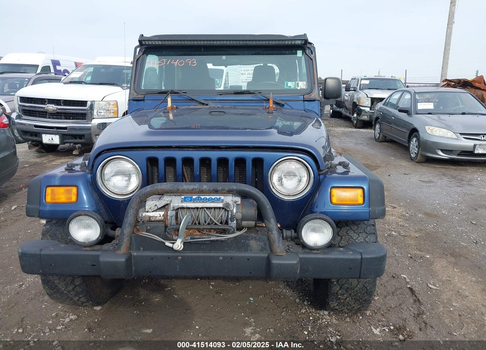 2003 JEEP WRANGLER SPORT VIN: 1J4FA49S33P365524
