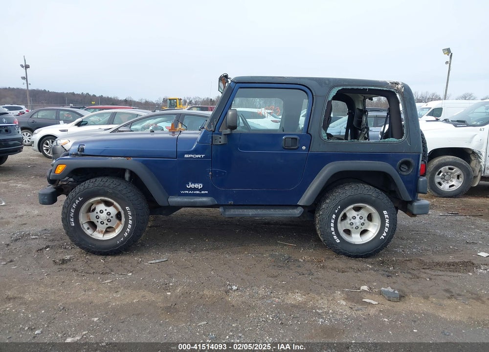 2003 JEEP WRANGLER SPORT VIN: 1J4FA49S33P365524