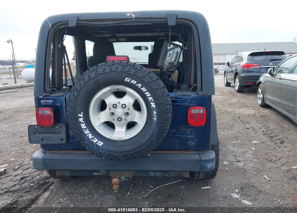 2003 JEEP WRANGLER SPORT VIN: 1J4FA49S33P365524