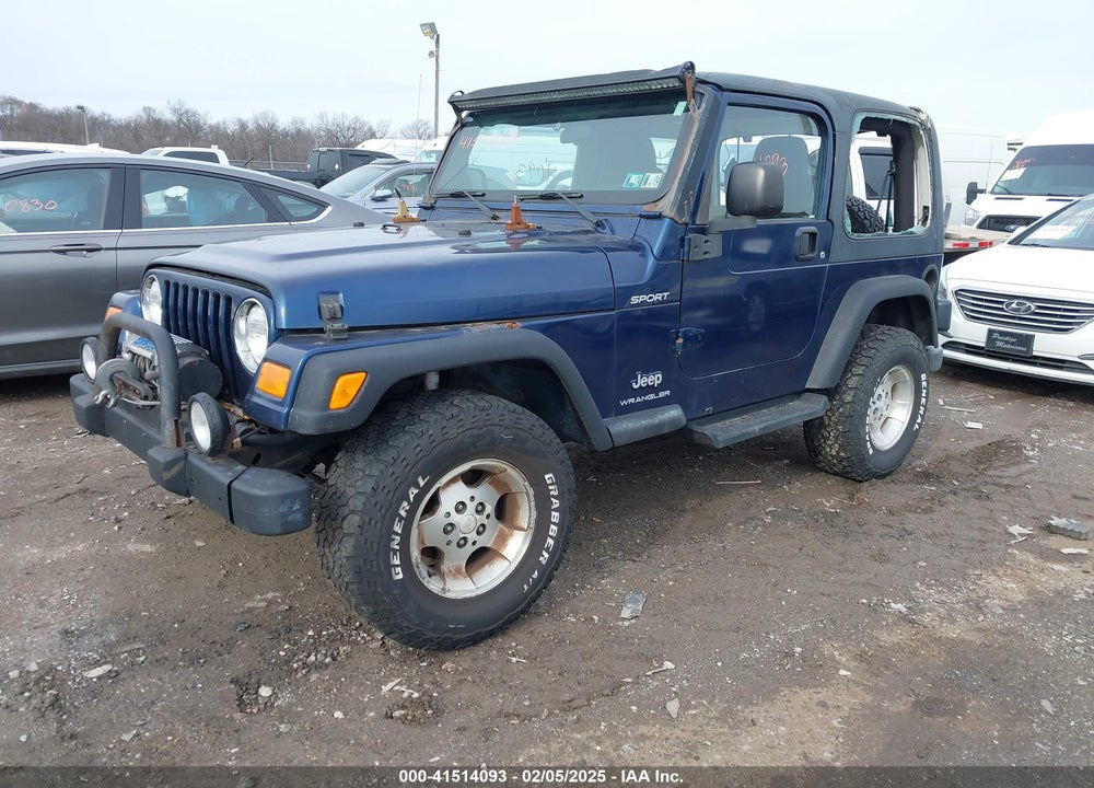 2003 JEEP WRANGLER SPORT VIN: 1J4FA49S33P365524