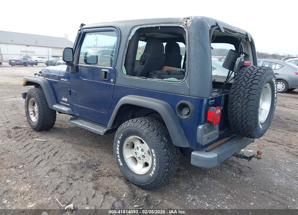 2003 JEEP WRANGLER SPORT VIN: 1J4FA49S33P365524
