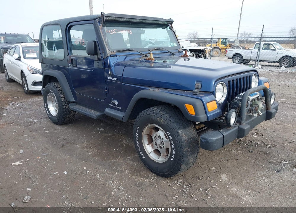 2003 JEEP WRANGLER SPORT VIN: 1J4FA49S33P365524