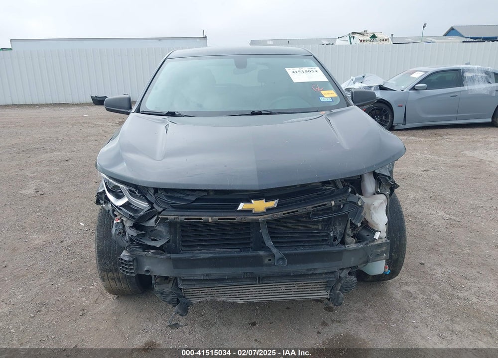2019 CHEVROLET EQUINOX LS VIN: 2GNAXHEV3K6160863