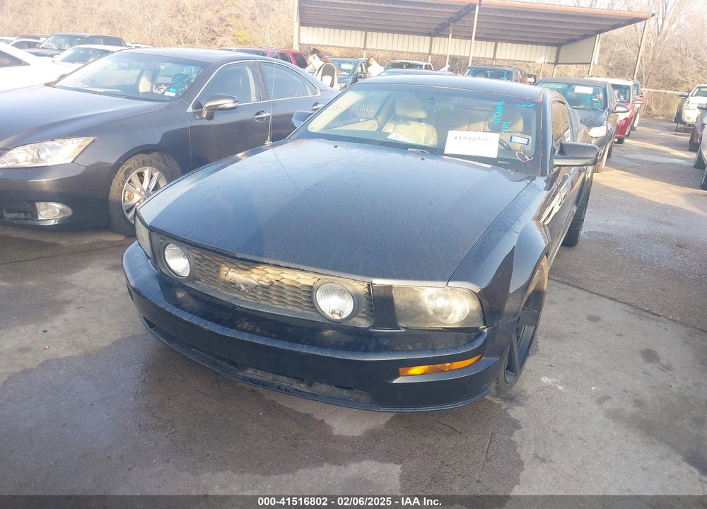 2005 FORD MUSTANG GT DELUXE/GT PREMIUM VIN: 1ZVFT82HX55231272