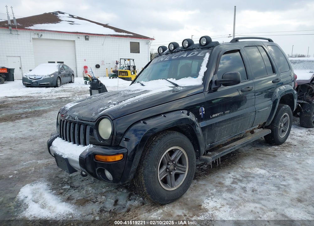 2003 JEEP LIBERTY RENEGADE VIN: 1J4GL38KX3W642606