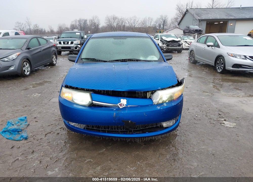 2003 SATURN ION VIN: 1G8AK52FX3Z181308