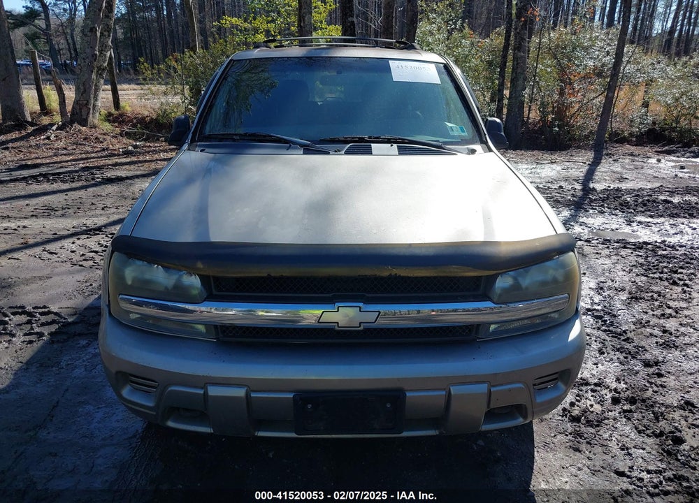 2002 CHEVROLET TRAILBLAZER LS VIN: 1GNDT13S422345395