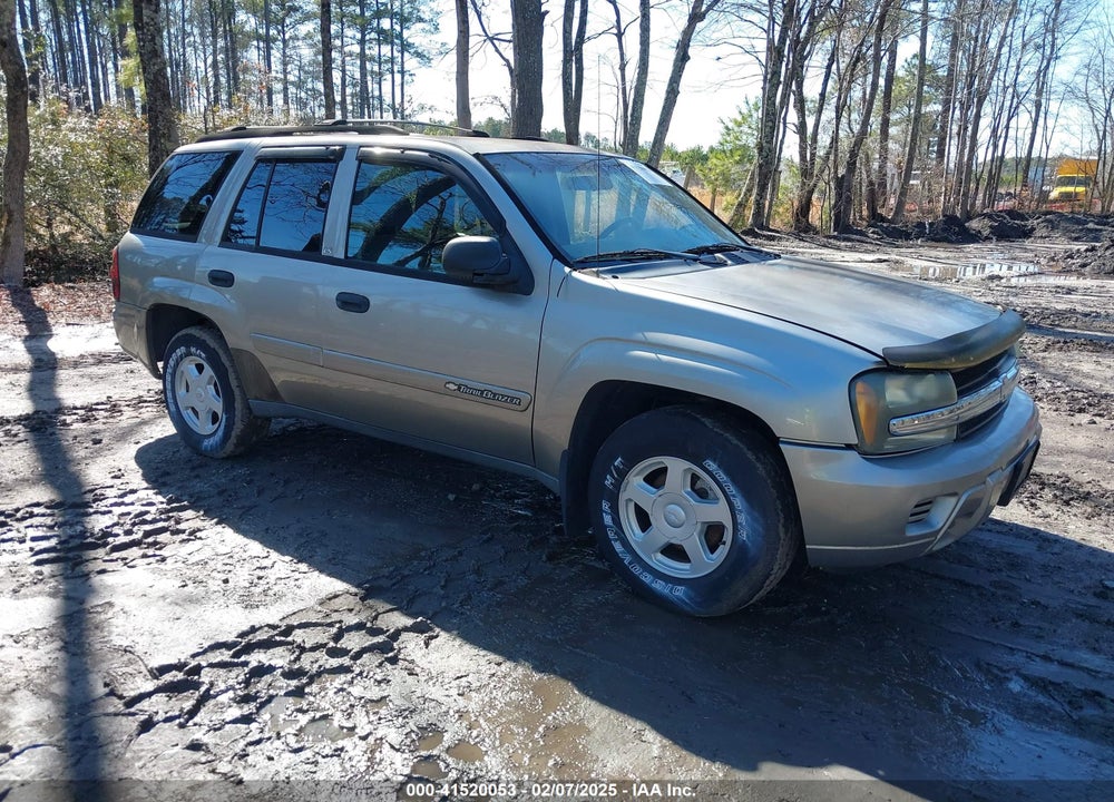 2002 CHEVROLET TRAILBLAZER LS VIN: 1GNDT13S422345395