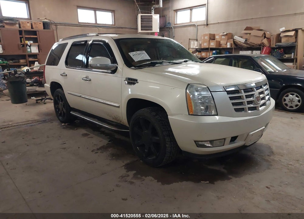 2007 CADILLAC ESCALADE STANDARD VIN: 1GYFK63867R424520