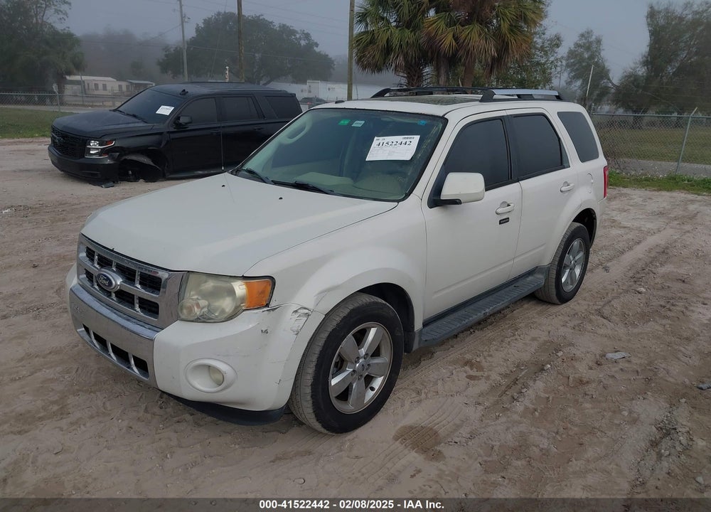 2010 FORD ESCAPE LIMITED VIN: 1FMCU0EGXAKD30981